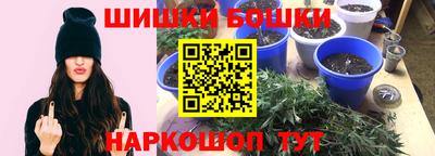 Альфа ПВП Можга