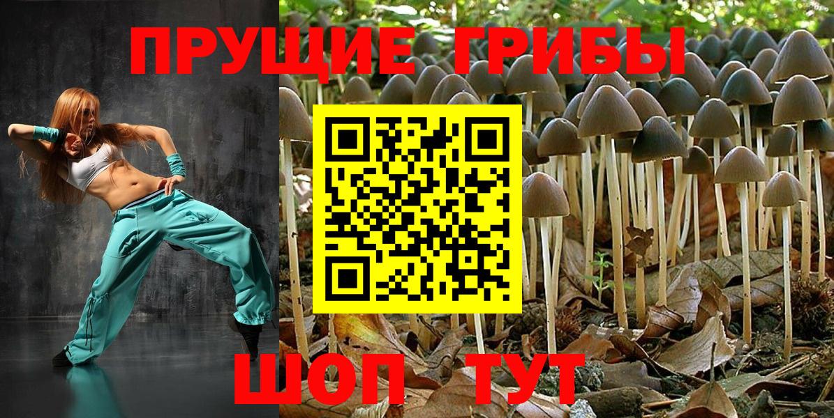 Чебаркуль  что такое наркотик  Вход с VPN  Галлюциногенные грибы мицелий 